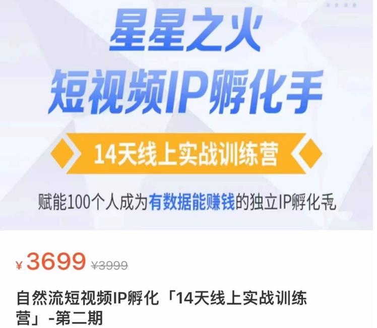 瑶瑶·自然流短视频IP孵化第二期，14天线上实战训练营，赋能100个人成为有数据能赚钱的独立IP孵化手| 网创圈