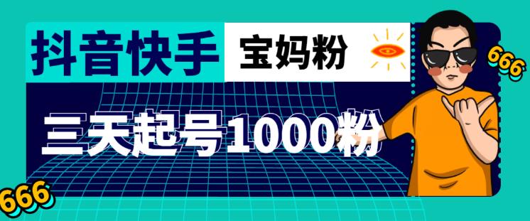 抖音快手三天起号涨粉1000宝妈粉丝的核心方法【详细玩法教程】| 网创圈