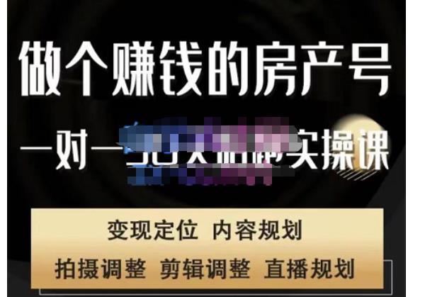 刘广标·同城房产号线上陪跑课，拍摄、剪辑、写文案、直播，做一个具有潜力价值的房产号| 网创圈