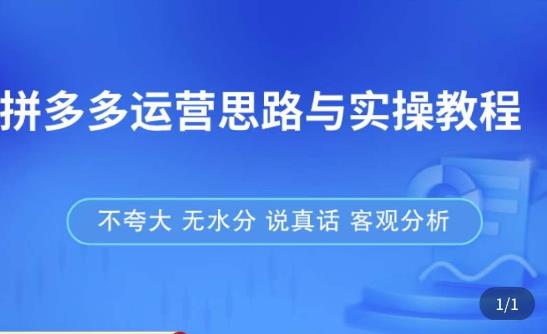 拼多多店铺运营思路与实操教程，快速学会拼多多开店和运营，少踩坑，多盈利| 网创圈