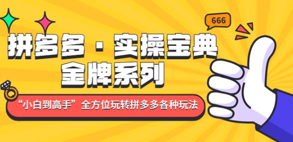 拼多多·实操宝典：金牌系列“小白到高手”带你全方位玩转拼多多各种玩法| 网创圈