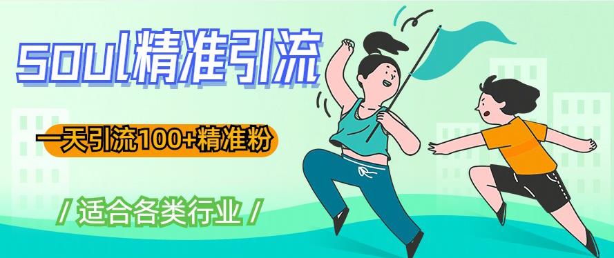 soul精准引流系列课程，一天引流100+精准粉，适合各类行业| 网创圈