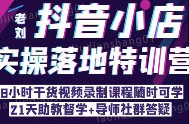 抖音小店实操落地特训营：抖音小店无货源精细化运营，抖店商品卡流量（22节）| 网创圈