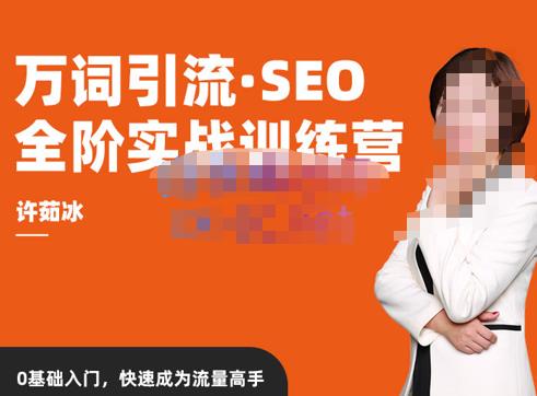 许茹冰·万词引流-SEO全阶实战训练营，0基础入门，快速成为流量高手| 网创圈