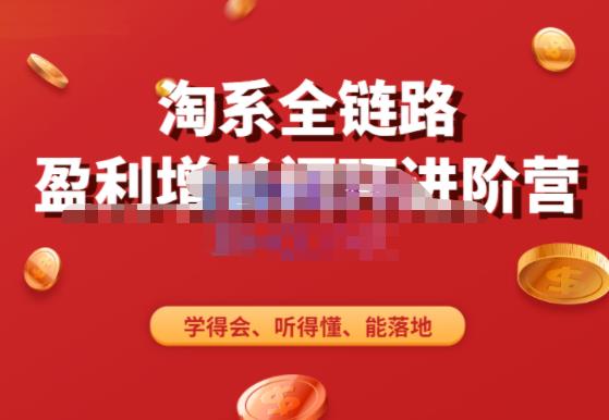 淘系全链路盈利增长闭环进阶营，融合全店动销，学得会、听得懂、能落地！| 网创圈