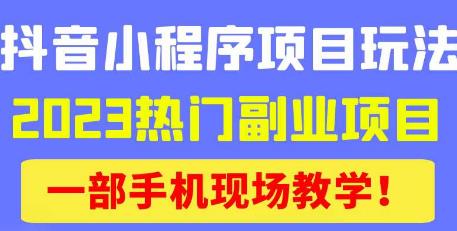 抖音小程序9.0新技巧，2023热门副业项目，动动手指轻松变现| 副业网