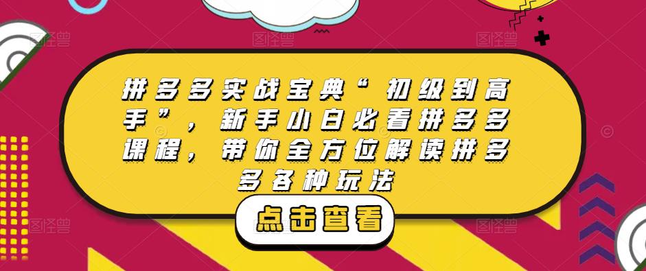 拼多多实战宝典“初级到高手”，新手小白必看拼多多课程，带你全方位解读拼多多各种玩法| 网创圈