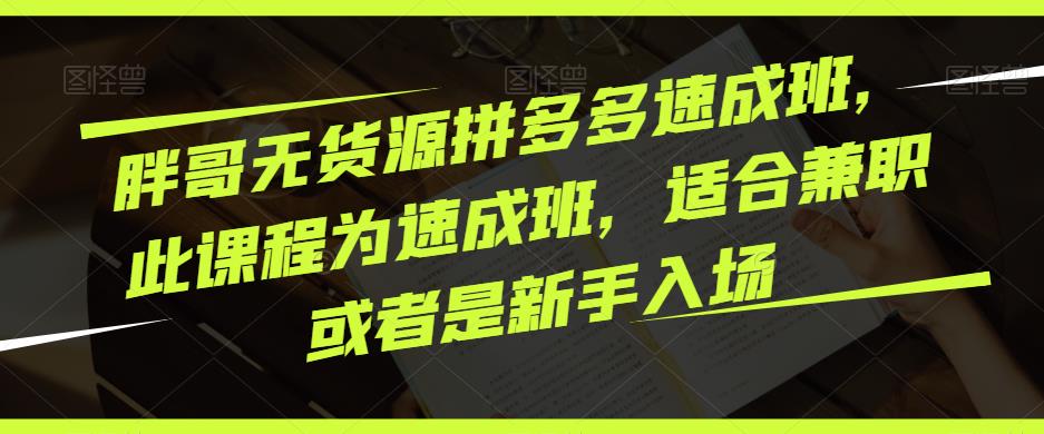 胖哥无货源拼多多速成班，此课程为速成班，适合兼职或者是新手入场| 网创圈