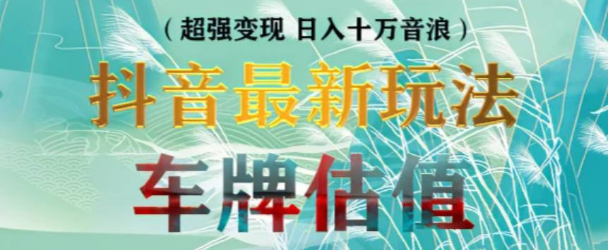 抖音最新无人直播变现直播车牌估值玩法项目，轻松日赚几百+【详细玩法教程】| 网创圈