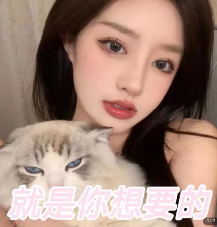 图片[2]| 微信交友变现项目，吸引全网LSP男粉精准变现，小白也能轻松上手，日入500+| 网创圈