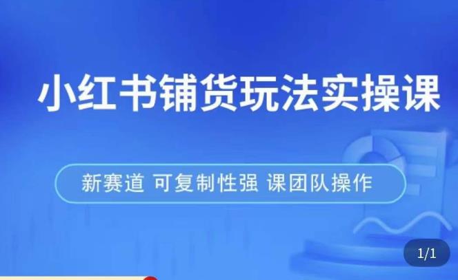 小红书铺货玩法实操课，流量大，竞争小，非常好做，新赛道，可复制性强，可团队操作| 网创圈