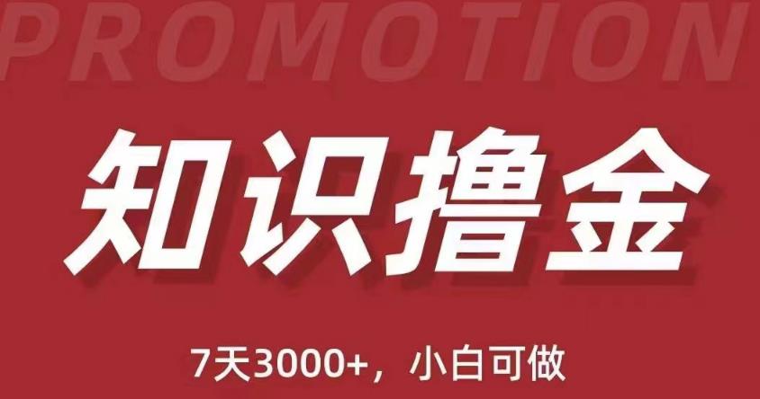 抖音知识撸金项目：简单粗暴日入1000+执行力强当天见收益(教程+资料)| 网创圈