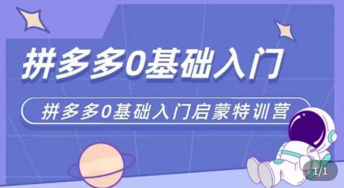 拼多多运营0-1实操特训营，拼多多0基础入门，从基础到进阶的可实操玩法| 网创圈