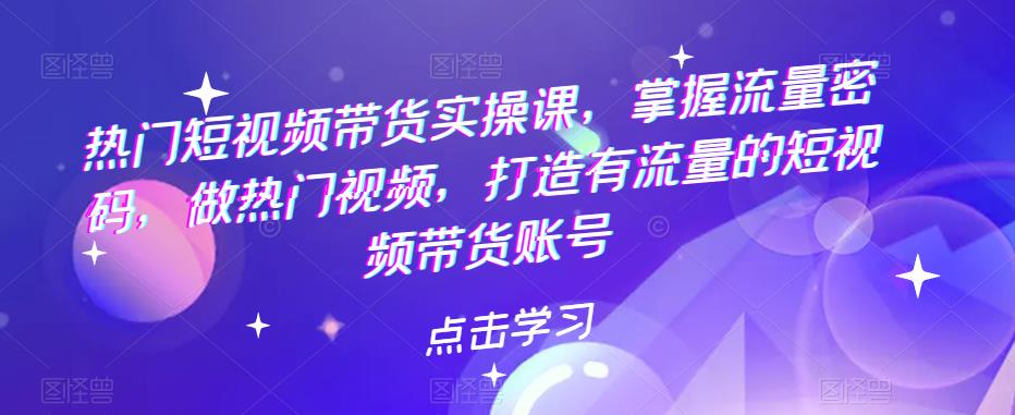 热门短视频带货实操课，掌握流量密码，做热门视频，打造有流量的短视频带货账号| 网创圈
