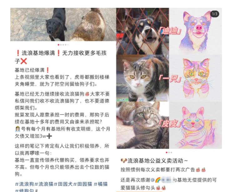 图片[2]| 小红书蓝海类赛道：小动物打赏与购买变现副业项目，一条龙玩法分享给你！| 网创圈