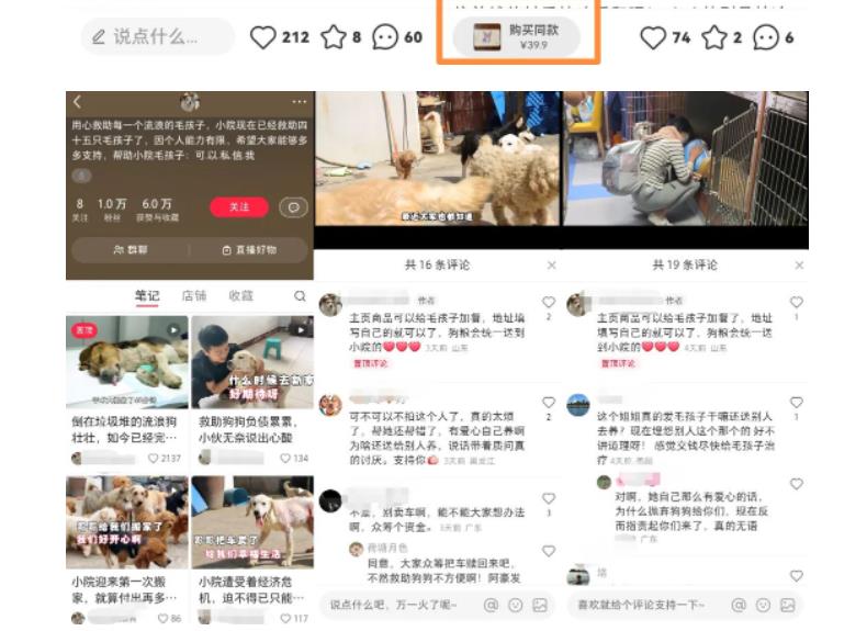 图片[3]| 小红书蓝海类赛道：小动物打赏与购买变现副业项目，一条龙玩法分享给你！| 网创圈