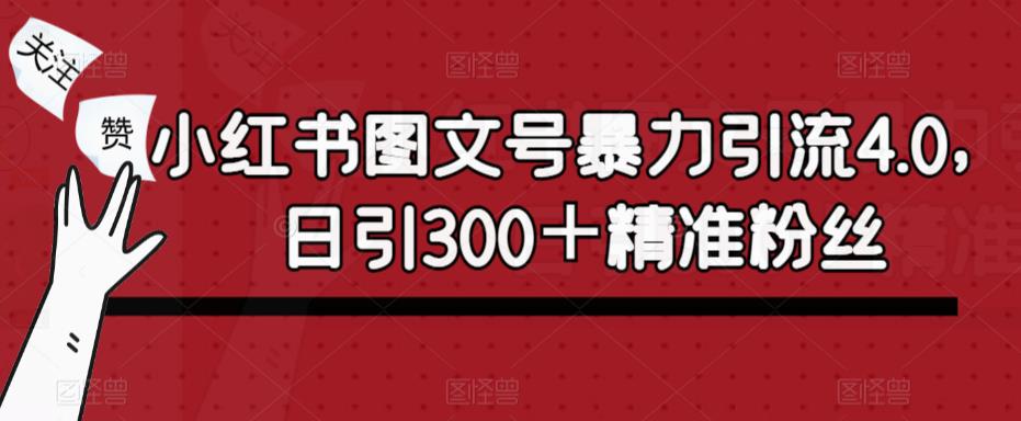 小红书图文号暴力引流4.0，日引300＋精准粉丝【揭秘】| 网创圈