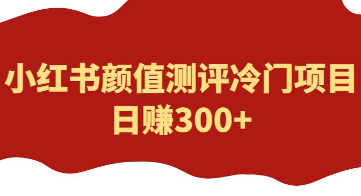 外面1980的项目，小红书颜值测评冷门项目，日赚300+【揭秘】| 网创圈