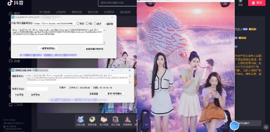 图片[2]| 最新电脑版抖音/快手/B站直播源获取+直播间实时录制+直播转播软件【全套软件+详细教程】| 网创圈
