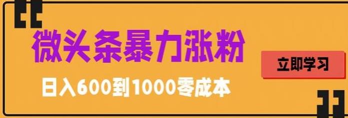 微头条暴力涨粉技巧搬运文案就能涨几万粉丝，简单0成本，日赚600【揭秘】| 网创圈