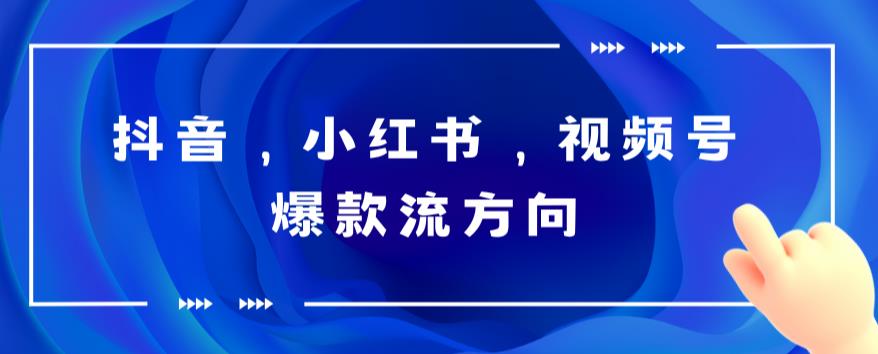 抖音，小红书，视频号爆款流视频制作，简单制作掌握流量密码| 副业网