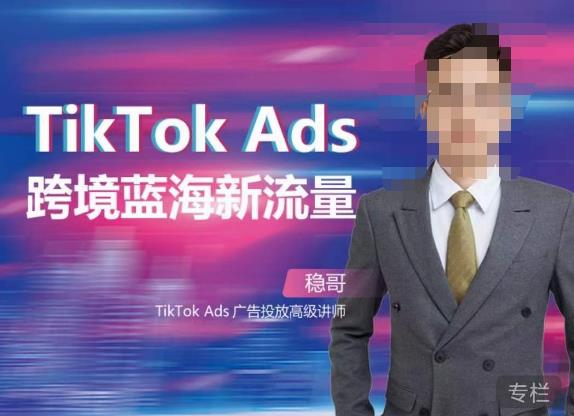 稳哥·如何投出高ROI的TikTok广告，开拓独立站卖家流量新蓝海| 网创圈