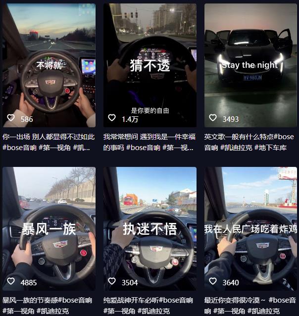 图片[2]| 抖音开车视频项目，0基础操作，每天五分钟，月入1W+【揭秘】| 网创圈