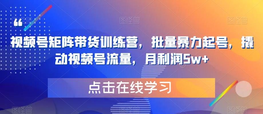 视频号矩阵带货训练营，批量暴力起号，撬动视频号流量，月利润5w+| 网创圈