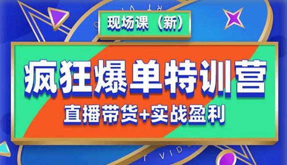 抖音短视频疯狂爆单特训营现场课（新）直播带货+实战案例| 网创圈