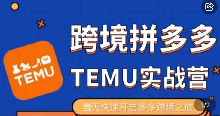 大鹏出海·拼多多跨境temu运营指导，开店注册+选品+核价上架，日出千单实战课| 网创圈
