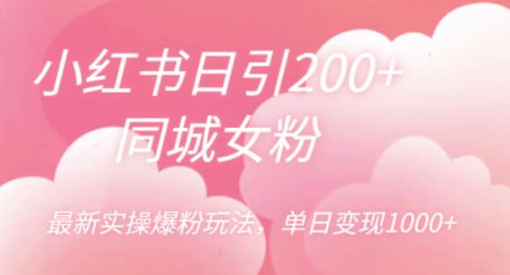 小红书日引200+同城女粉，最新实操爆粉玩法，单日变现1000+【揭秘】| 网创圈
