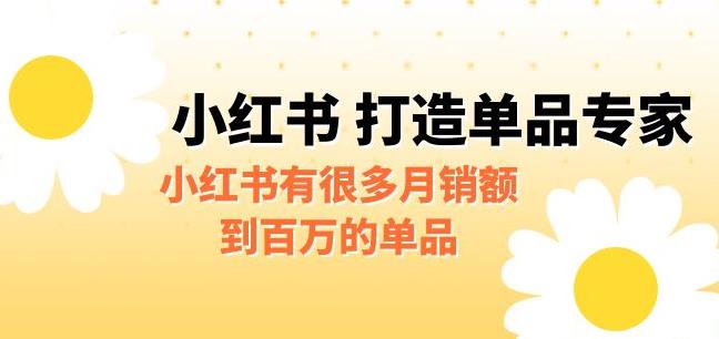 某公众号付费文章《小红书打造单品专家》小红书有很多月销额到百万的单品| 网创圈