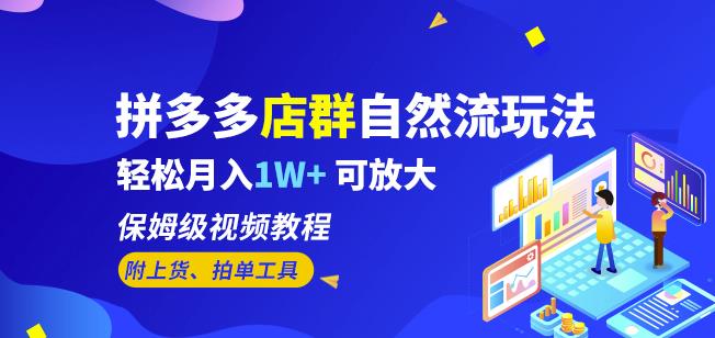 拼多多店群自然流玩法，轻松月入1W+保姆级视频教程（附上货、拍单工具）| 网创圈