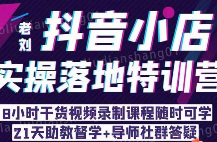 老刘·抖店商品卡流量，​抖音小店实操落地特训营，8小时干货视频录制课程随时可学| 网创圈