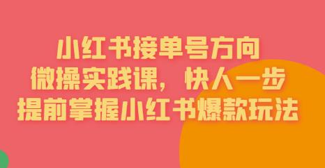 接单号方向·小红书微操实践课，快人一步，提前掌握小红书爆款玩法| 网创圈