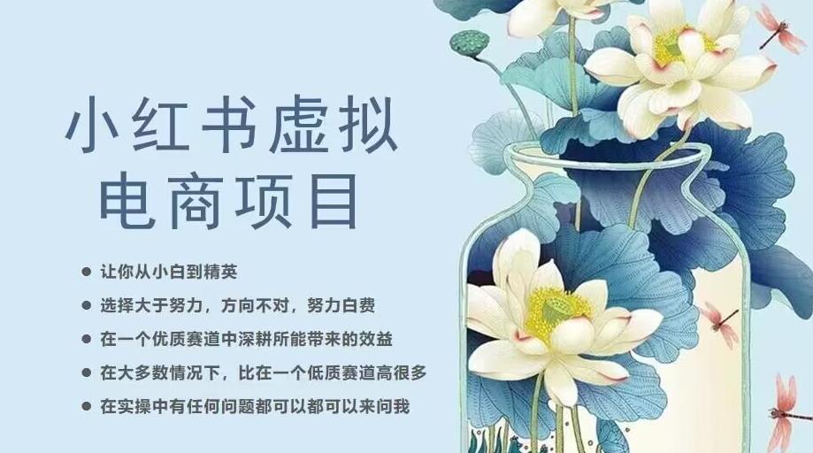 小红书虚拟电商从0到1，让你从小白到精英（20节实操课程）| 副业网