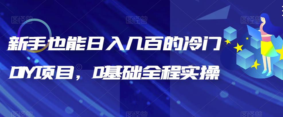 新手也能日入几百的冷门DIY项目，0基础全程实操【揭秘】| 网创圈