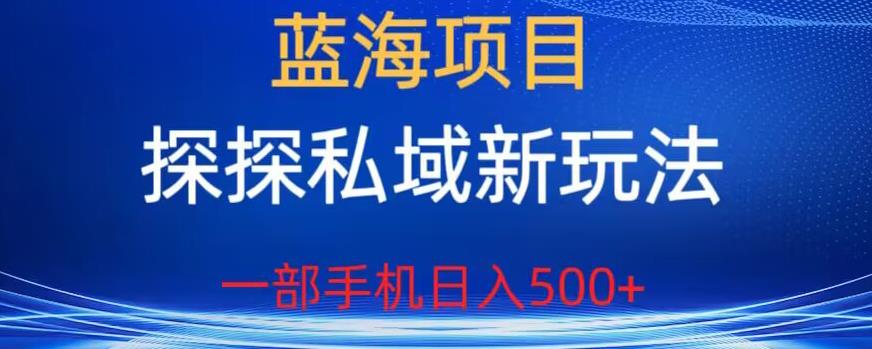 蓝海项目，探探私域新玩法，一部手机日入500+很轻松【揭秘】| 网创圈