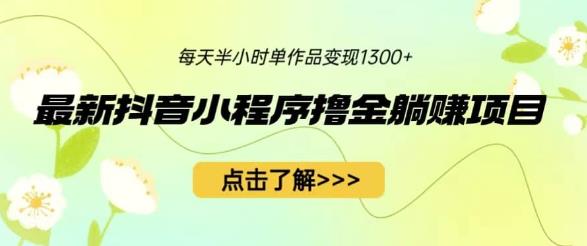 最新抖音小程序撸金躺赚项目，一部手机每天半小时，单个作品变现1300+【揭秘】| 网创圈