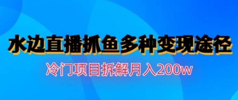 水边直播抓鱼，多种变现途径冷门项目，月入200w拆解【揭秘】| 副业网