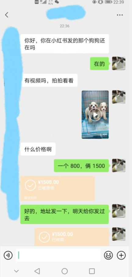 图片[2]| 外边收费3980的同城萌宠项目，用最冷门的玩法冲击最热门的市场【揭秘】| 网创圈
