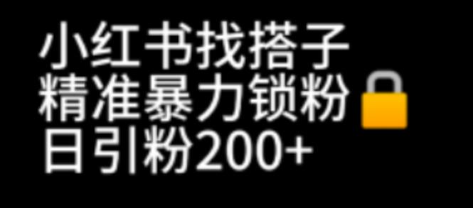 小红书找搭子暴力精准锁粉+引流日引200+精准粉| 网创圈