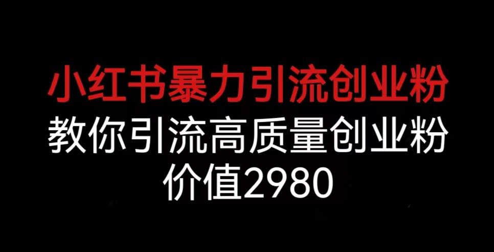 小红书暴力引流创业粉，教你引流高质量创业粉，价值2980【揭秘】| 网创圈
