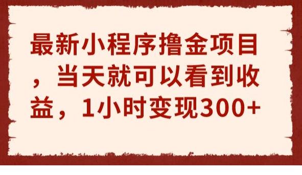 最新小程序撸金项目，当天就可以看到收益，1小时变现300+【揭秘】| 网创圈