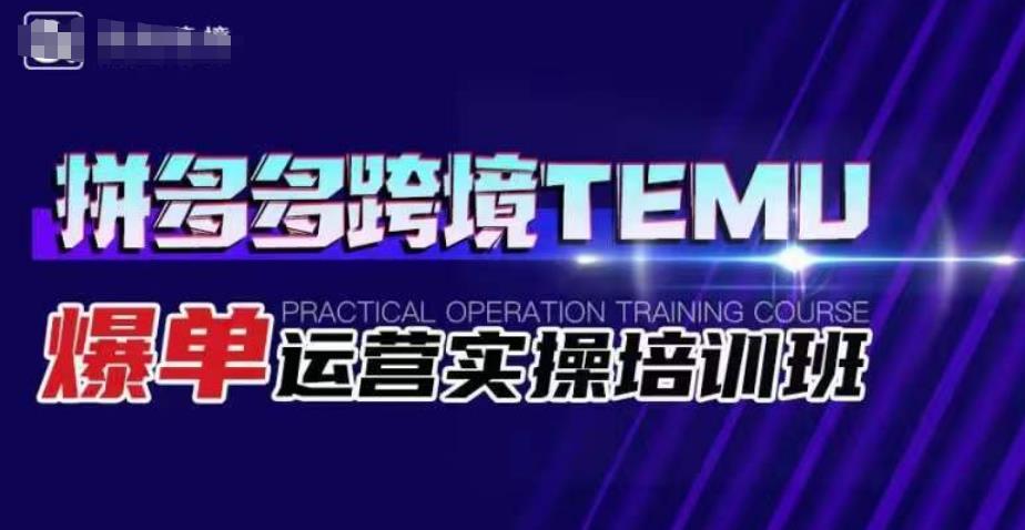 拼多多跨境TEMU爆单运营实操培训班，海外拼多多的选品、运营、爆单| 网创圈