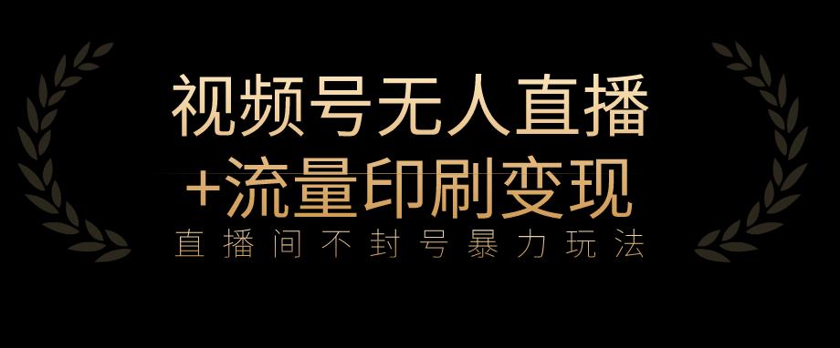 全网首发视频号不封号无人直播暴利玩法+流量印刷机变现，日入1000+【揭秘】| 网创圈