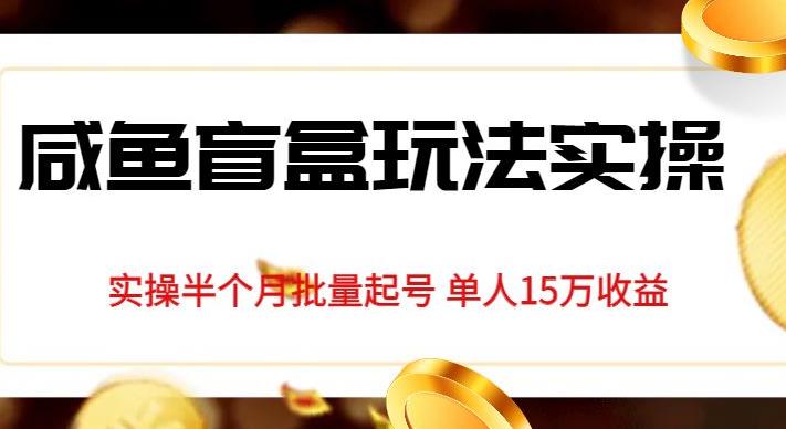 独家首发咸鱼盲盒玩法实操，半个月批量起号单人15万收益【揭秘】| 网创圈