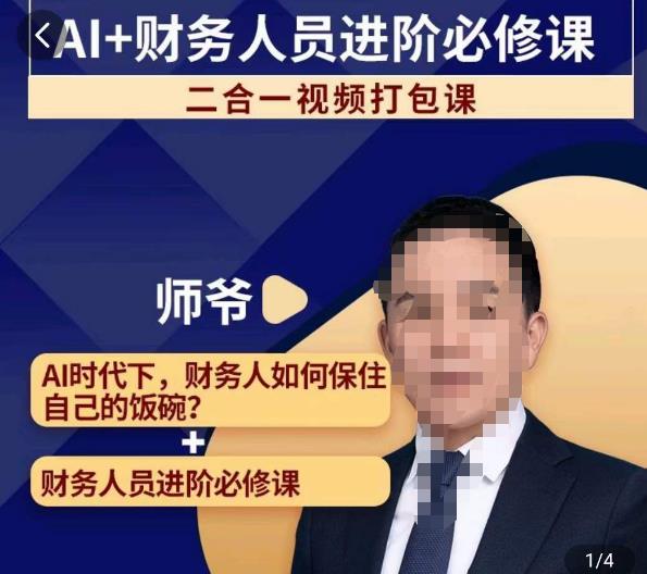 AI+财务人员进阶必修课二合一视频打包课，财务人员进阶必修课| 网创圈