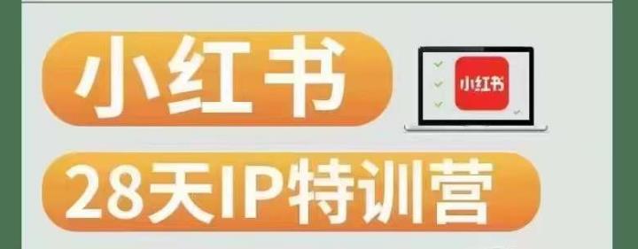 28天小红书博主IP特训营（第3期）实战经验，快速涨粉，迅速变现| 网创圈