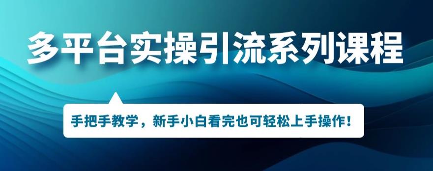 多平台引流实操系列课程，新手小白看完也可轻松上手进行引流操作| 网创圈